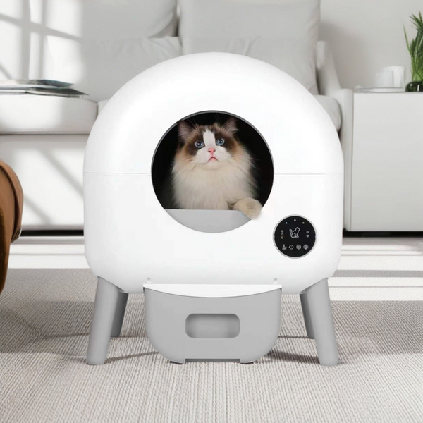 Intelligent Self-Cleaning Cat Litter Box