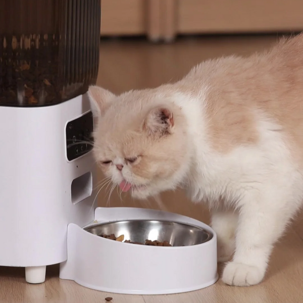Double Bowl Smart Pet Feeder with Camera