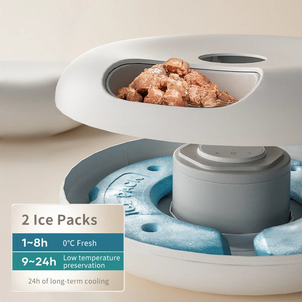 6 Meals Automatic Pet Food Dispenser