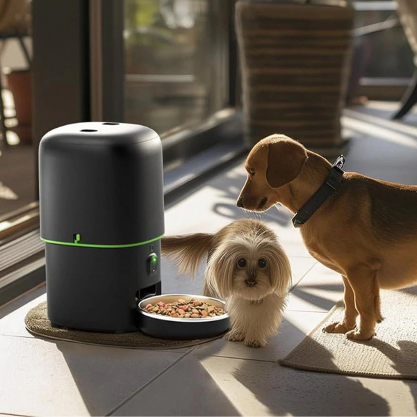 Smart Pet Feeder with WiFi Camera