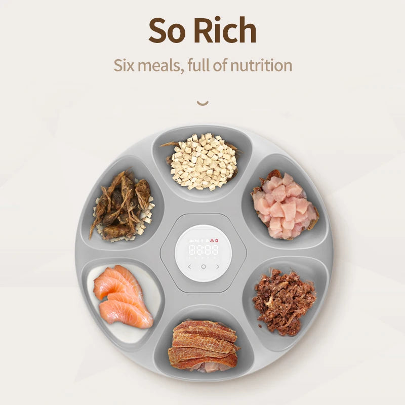 6 Meals Automatic Pet Food Dispenser