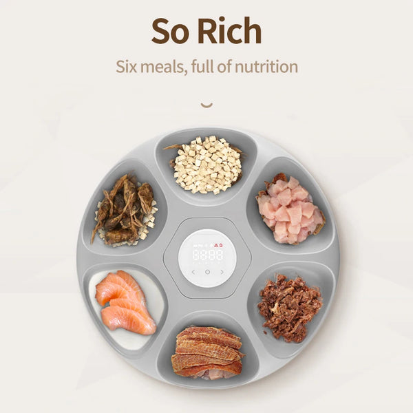 6 Meals Automatic Pet Food Dispenser