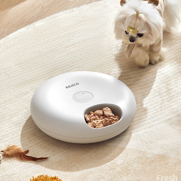 6 Meals Automatic Pet Food Dispenser