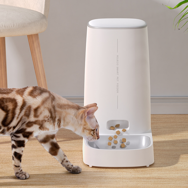 Automatic Cat Feeder with WiFi Control