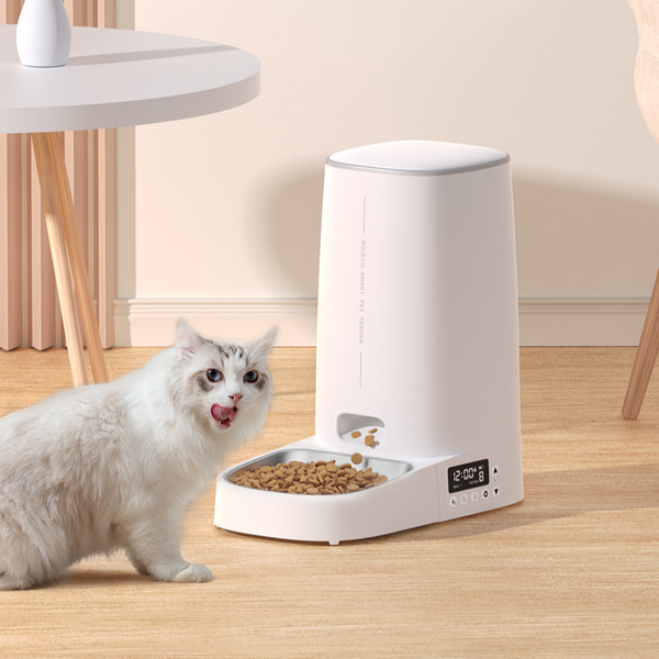 Automatic Cat Feeder with WiFi Control