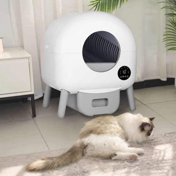 Intelligent Self-Cleaning Cat Litter Box